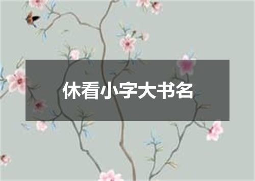休看小字大书名