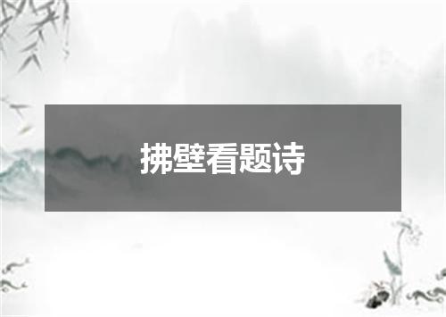 拂壁看题诗