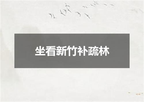 坐看新竹补疏林
