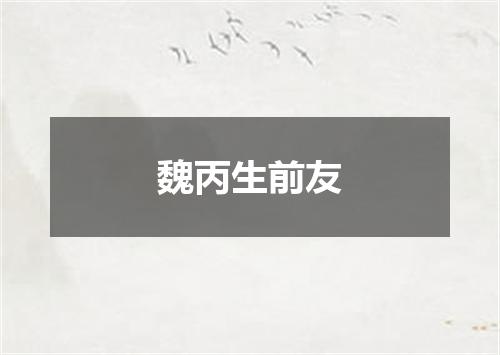 魏丙生前友