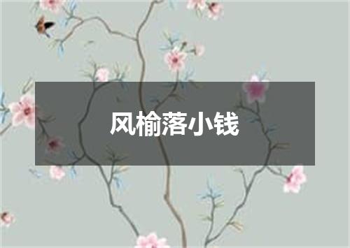 风榆落小钱