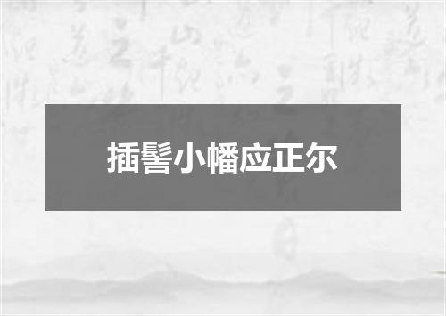 插髻小幡应正尔