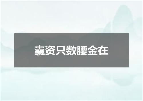 囊资只数腰金在