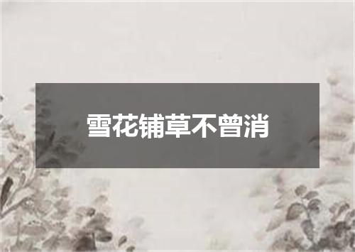 雪花铺草不曾消