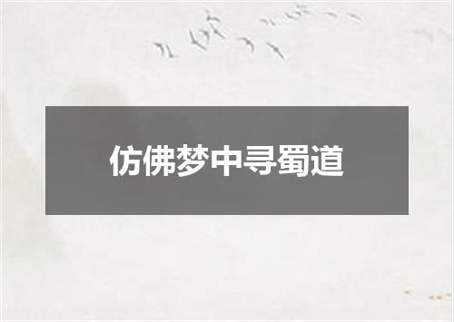 仿佛梦中寻蜀道
