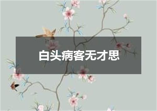 白头病客无才思