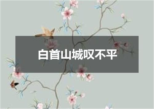 白首山城叹不平