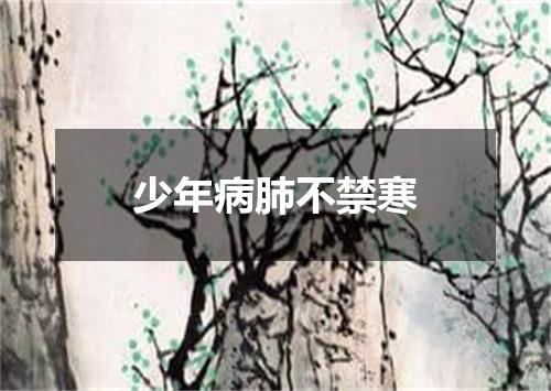 少年病肺不禁寒