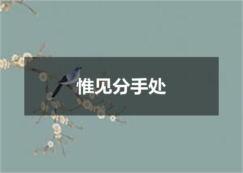 惟见分手处