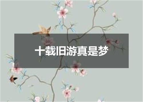 十载旧游真是梦