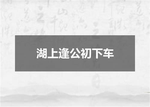 湖上逢公初下车