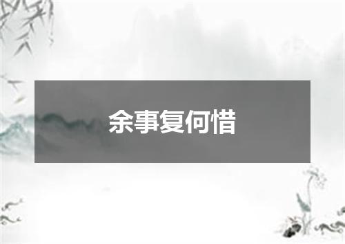 余事复何惜