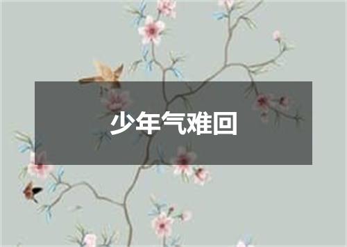 少年气难回
