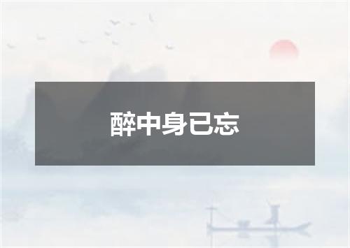 醉中身已忘