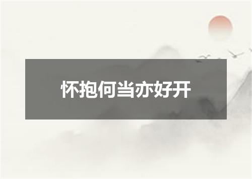 怀抱何当亦好开