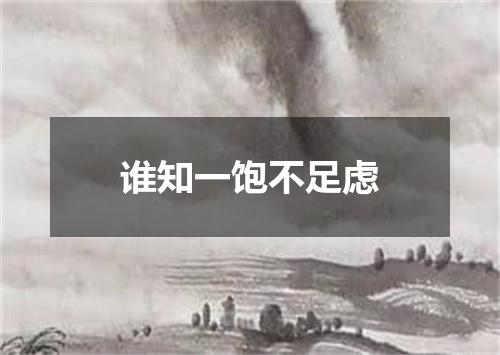 谁知一饱不足虑