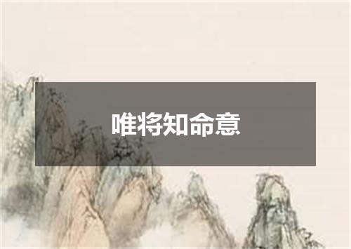 唯将知命意