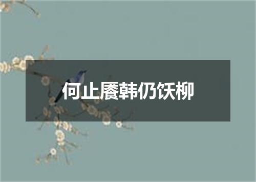 何止餍韩仍饫柳