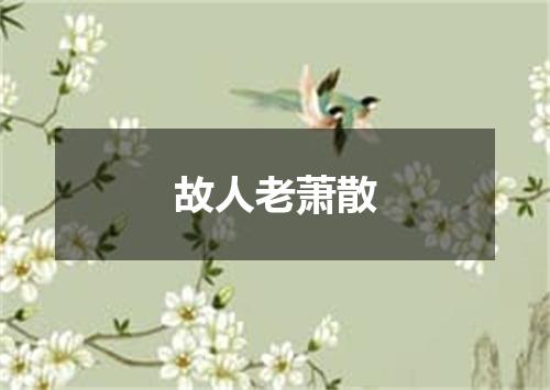 故人老萧散
