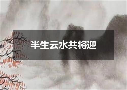半生云水共将迎
