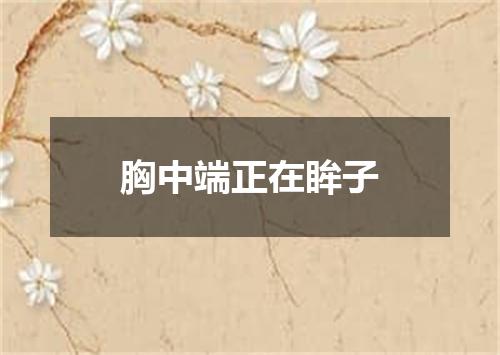 胸中端正在眸子