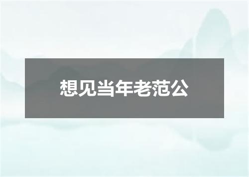 想见当年老范公