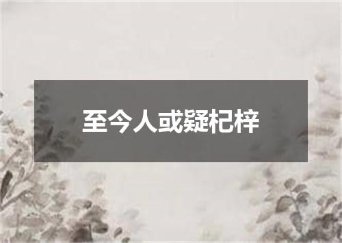 至今人或疑杞梓