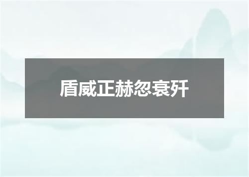 盾威正赫忽衰歼