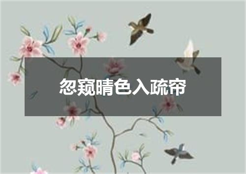 忽窥晴色入疏帘