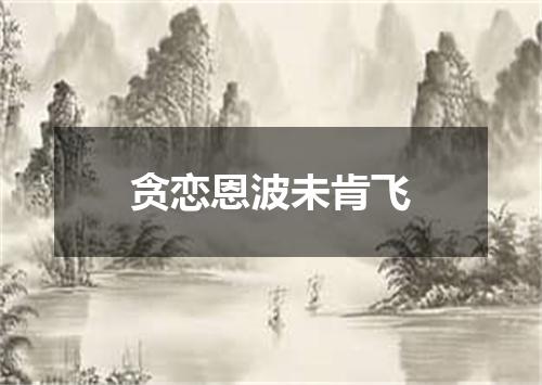 贪恋恩波未肯飞