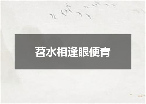 苕水相逢眼便青