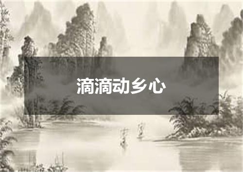 滴滴动乡心