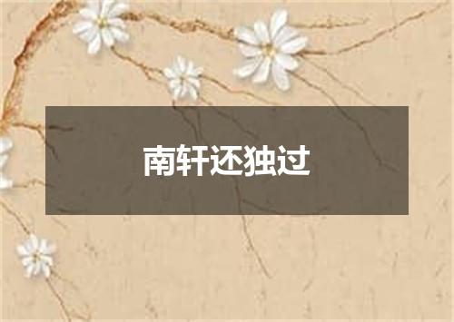 南轩还独过