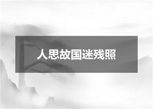 人思故国迷残照