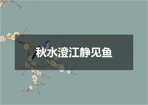 秋水澄江静见鱼