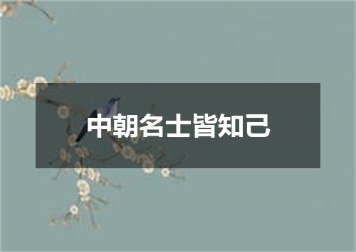中朝名士皆知己