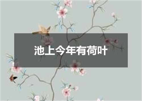 池上今年有荷叶