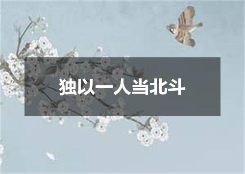 独以一人当北斗
