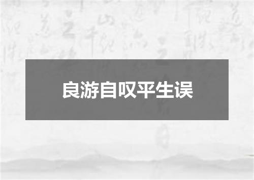 良游自叹平生误