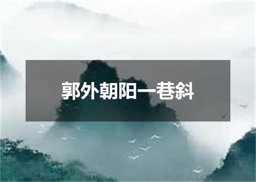 郭外朝阳一巷斜