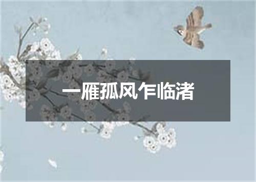 一雁孤风乍临渚