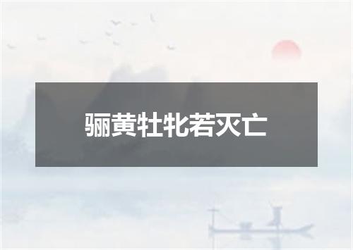 骊黄牡牝若灭亡