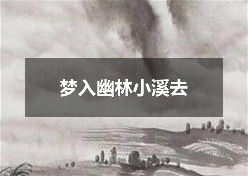 梦入幽林小溪去