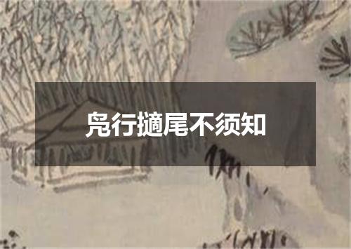 凫行擿尾不须知