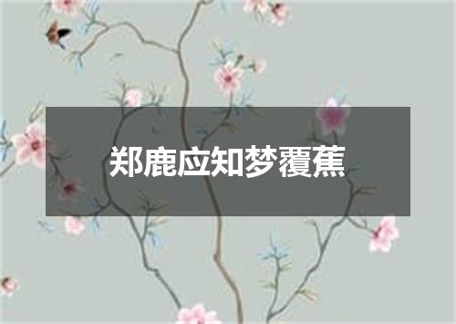 郑鹿应知梦覆蕉