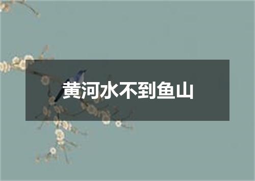 黄河水不到鱼山