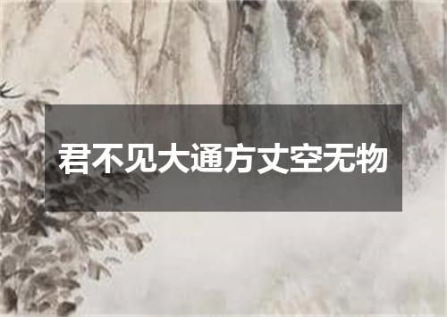 君不见大通方丈空无物