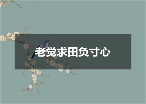 老觉求田负寸心