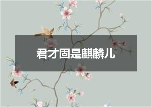 君才固是麒麟儿