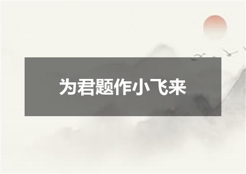 为君题作小飞来